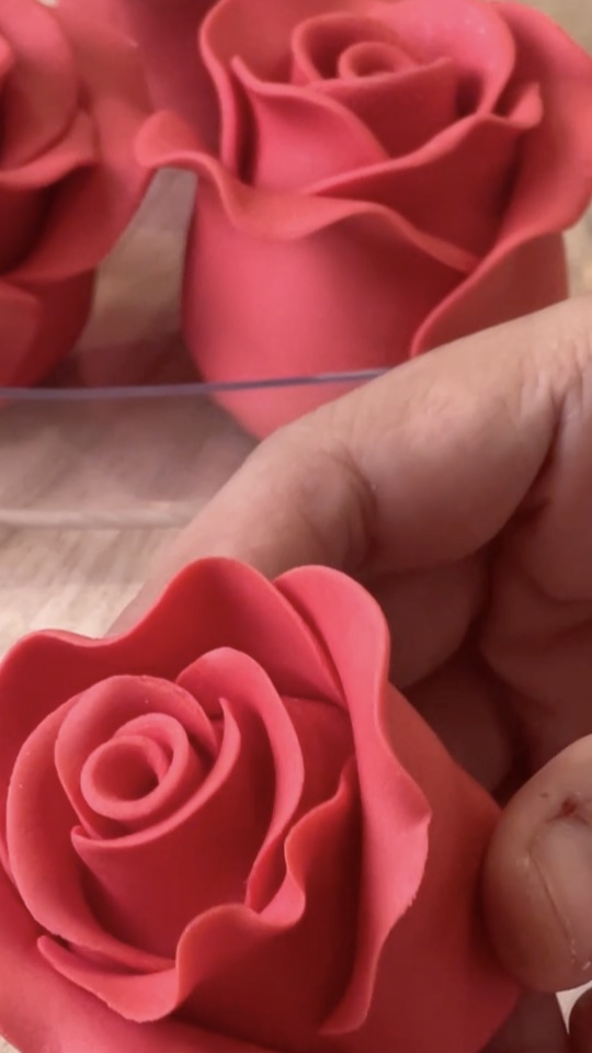 Rosas vermelhas modeladas